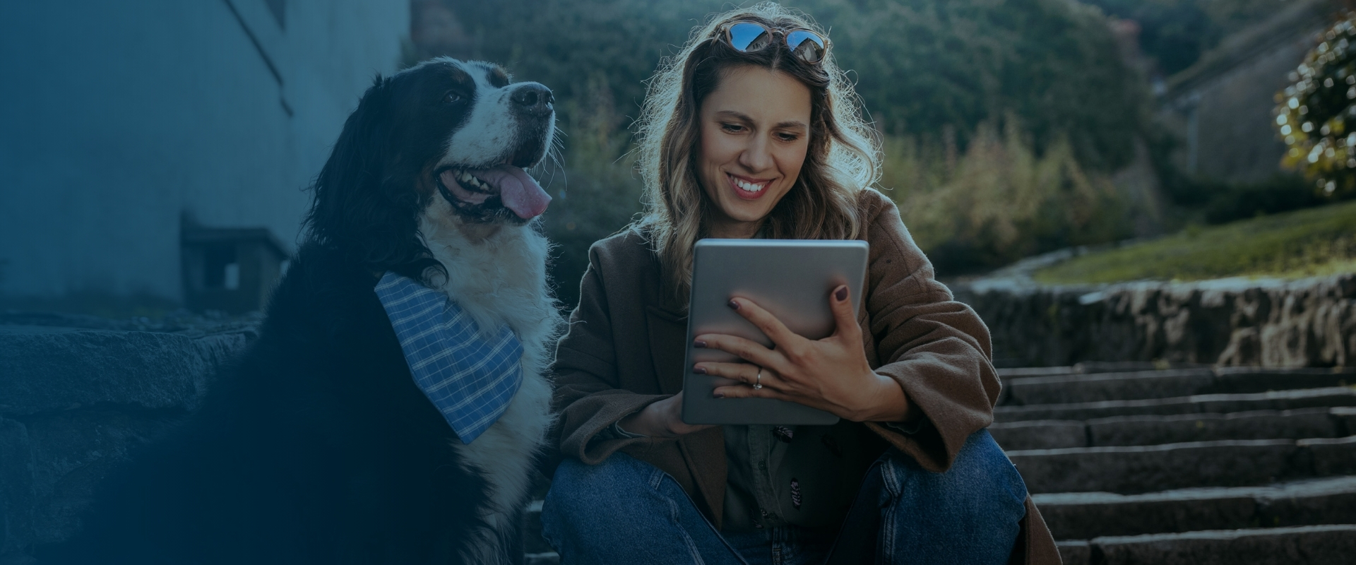 Report Background desktop